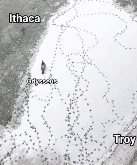 This brilliant historical meme dump maps out classic epic poetry using bird tracks stamped into a snowy field. A single pigeon walking along an incredibly convoluted, winding maze of footprints is labeled "Odysseus," while the chaotic starting and endpoints of the tracks are marked "Troy" and "Ithaca."