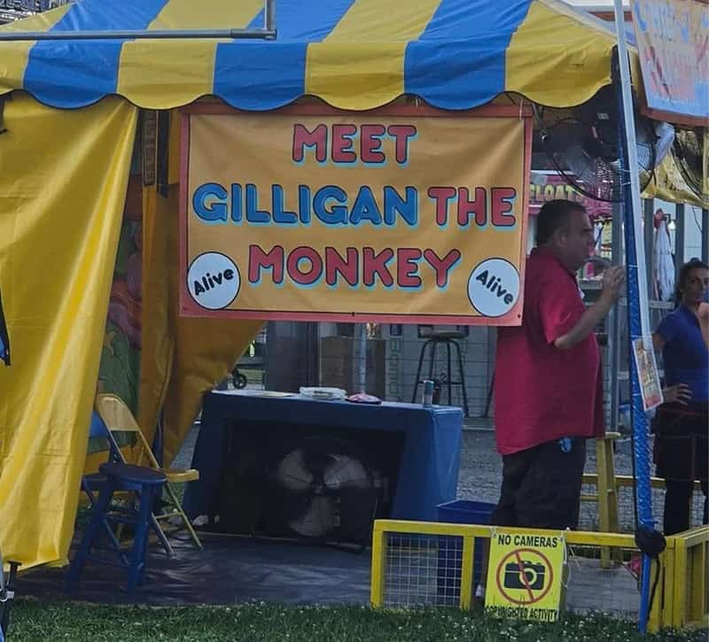 A sketchy carnival side-show photo inside the meme dump displaying a handmade sign for "GILLIGAN THE MONKEY" that suspiciously reassures visitors that the monkey is "Alive."