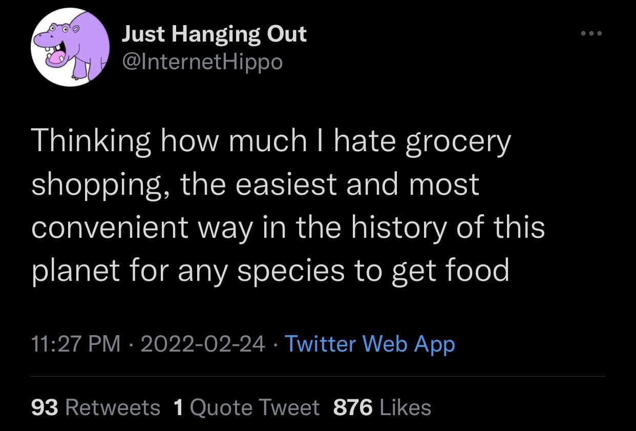 An existential text tweet from InternetHippo in the meme dump lamenting how much we hate grocery shopping despite it being the most convenient food-gathering method in planet history.