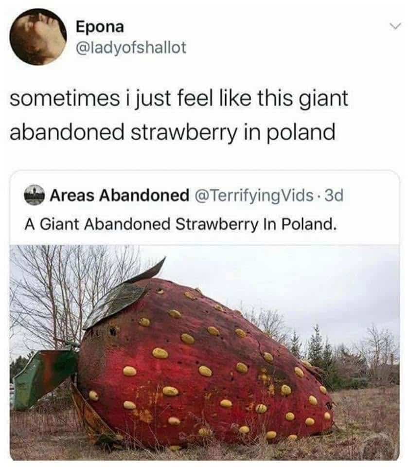 Relatable social media meme about feeling like a giant abandoned strawberry sculpture located in Poland.