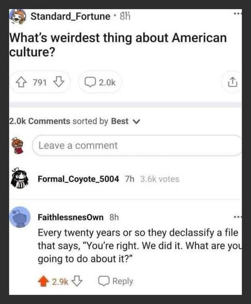 Screenshot of a Reddit comment thread joking about declassified government files in American culture.