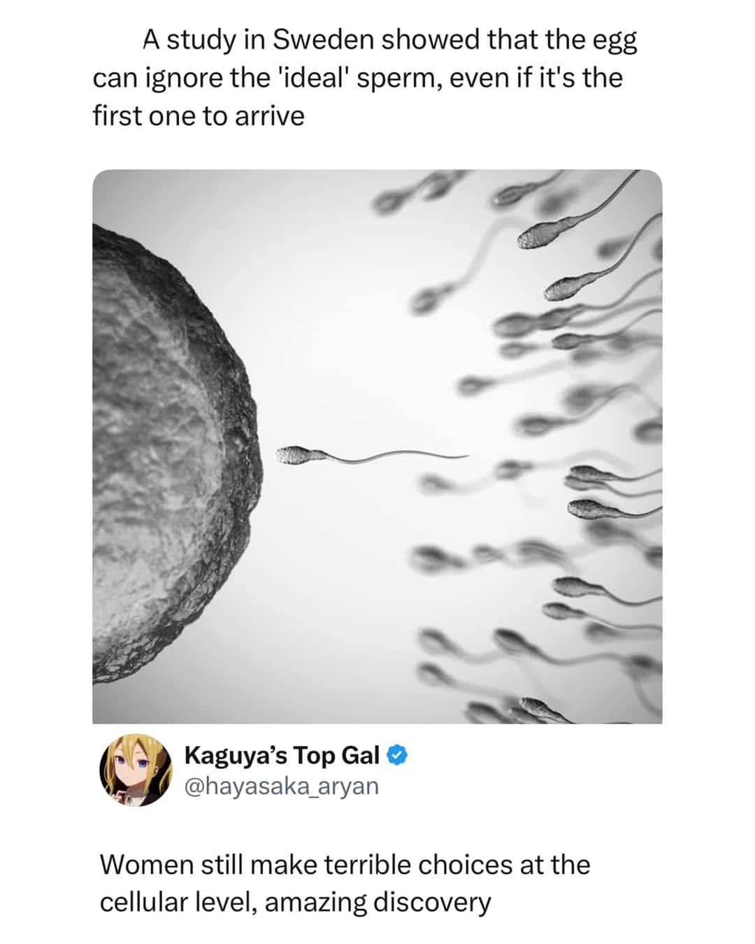 Scientific study graphic showing sperm surrounding egg cell with funny commentary on bad choices.