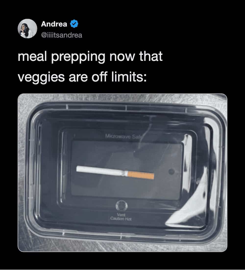 Funny dietary meal prepping meme showing a single cigarette packed inside a plastic food container.