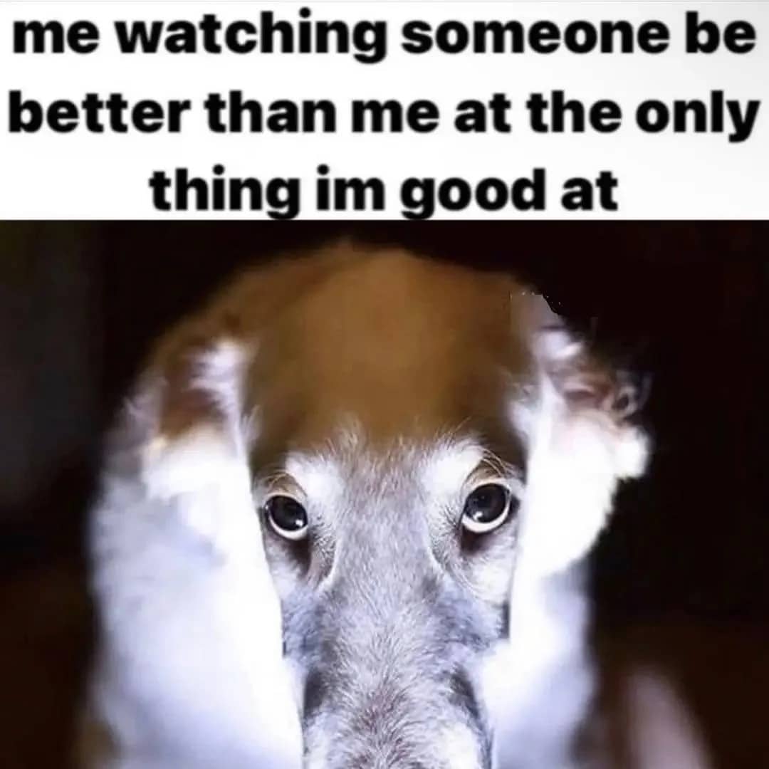 Close up image of a dog looking sad captioned watching someone be better at your skill.