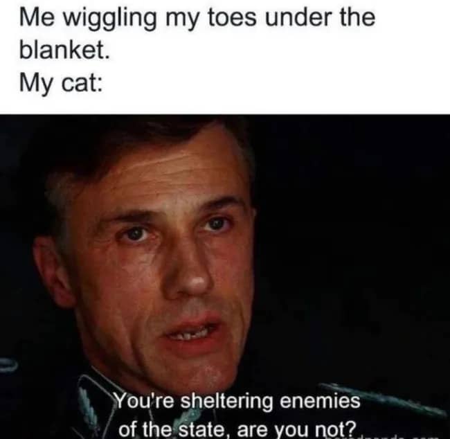 Movie screenshot meme of Hans Landa comparing a cat hunting under blankets to a state enemy.
