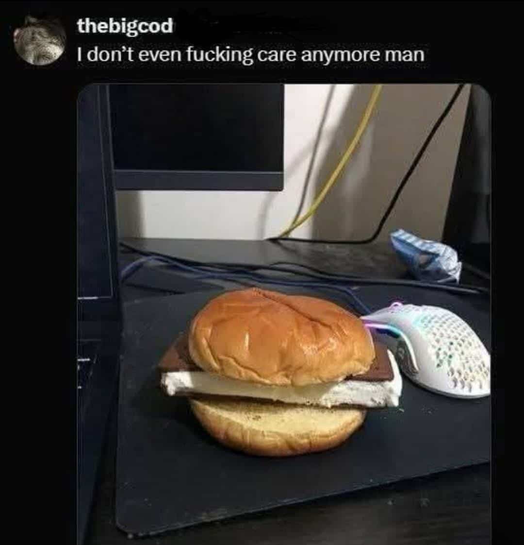 Funny memes concept featuring a sweet ice cream sandwich placed inside a toasted hamburger bun.