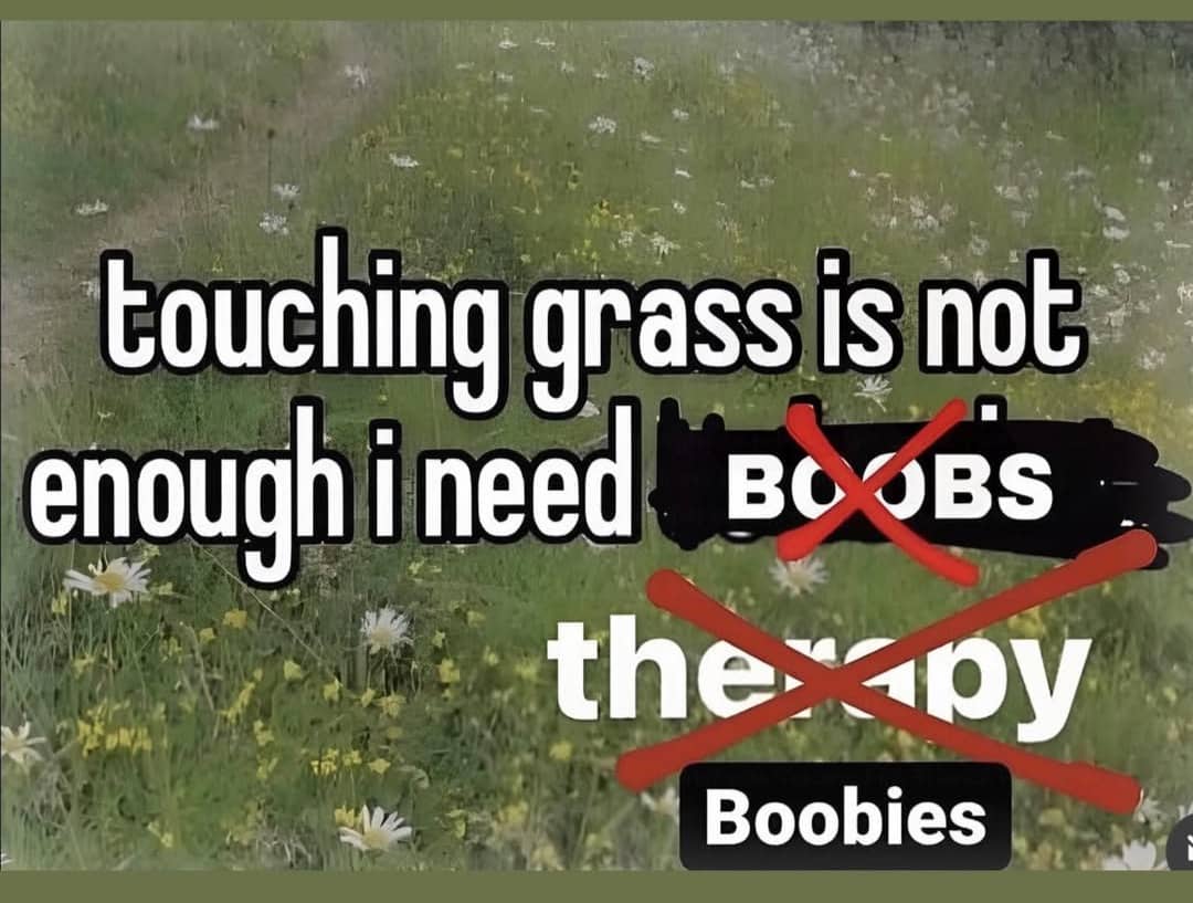 Text over grass fields edited to say touching grass is not enough I need boobies.