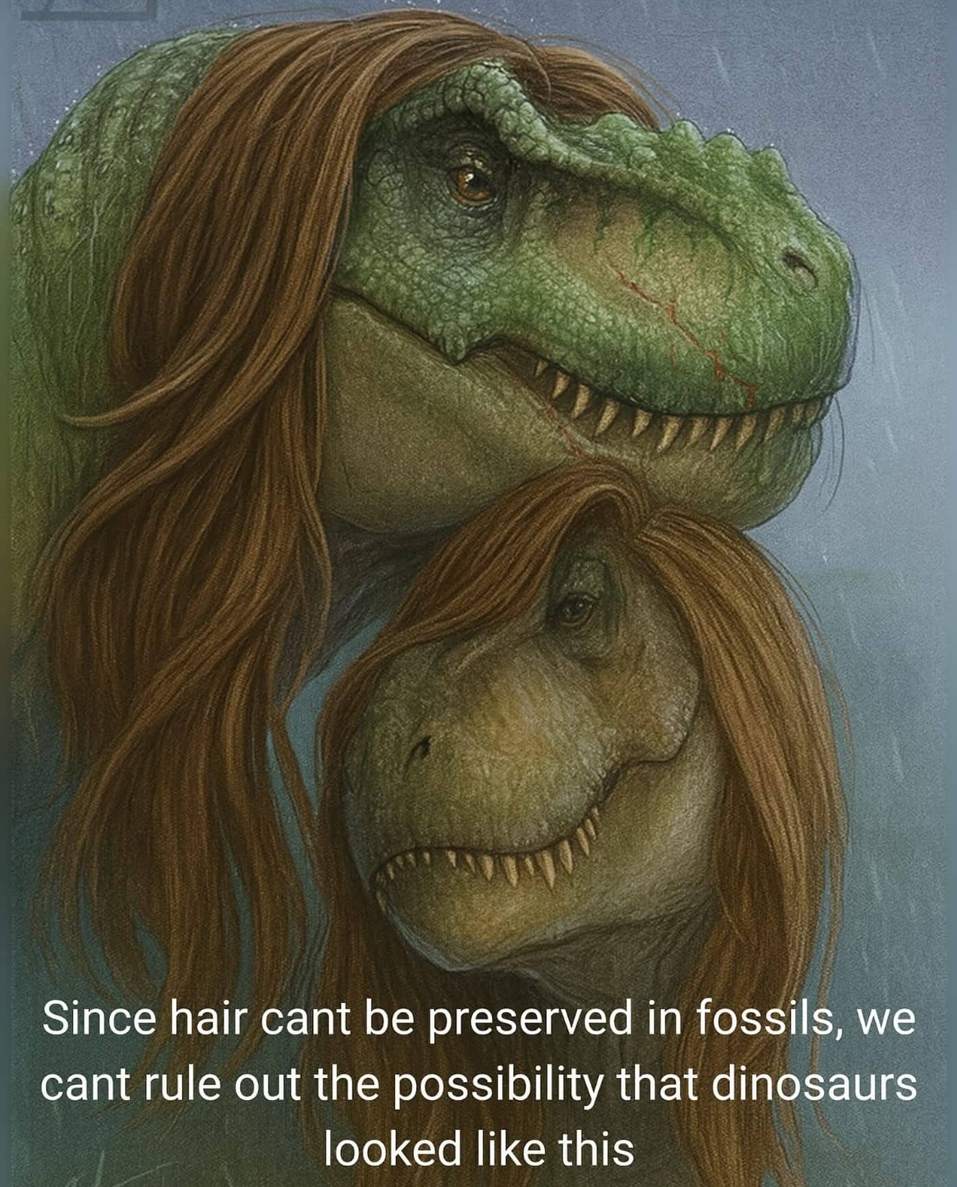 Illustration of two Tyrannosaurus Rex dinosaurs sporting long, flowing brown hair with humorous speculative text.