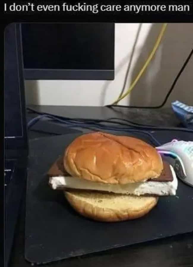 Funny meme featuring an ice cream sandwich placed inside a hamburger bun on desk.