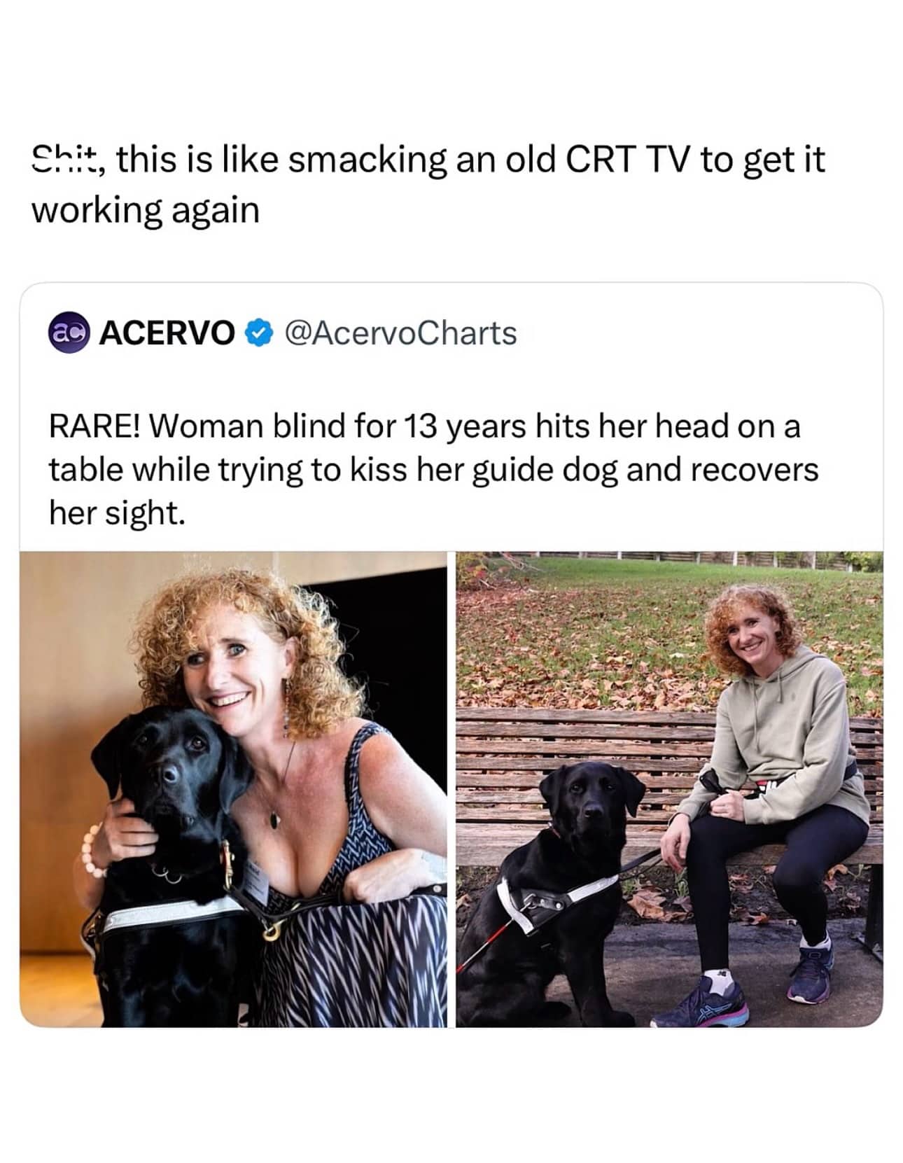 Tweet about a blind woman recovering her sight after hitting her head compared to fixing a CRT TV.