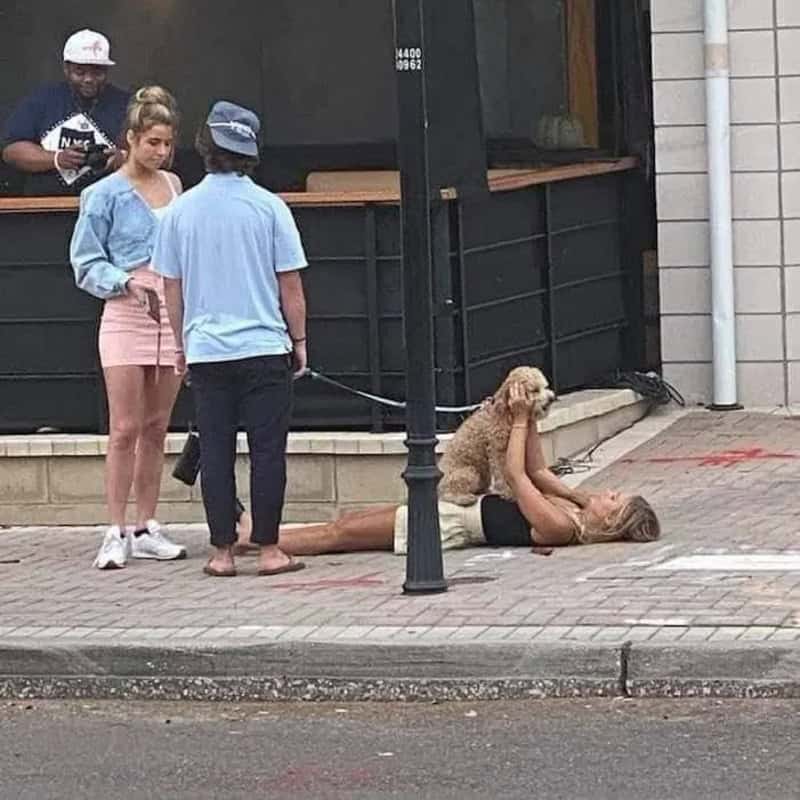 Funny street photography meme showing a woman laying down to photograph a dog.