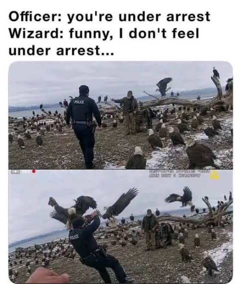 Two panel meme showing a wizard summoning a flock of bald eagles to attack a police officer.
