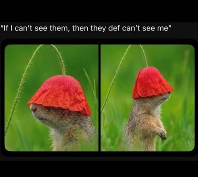 Adorable nature meme of a prairie dog hiding under a red flower poppy cap.