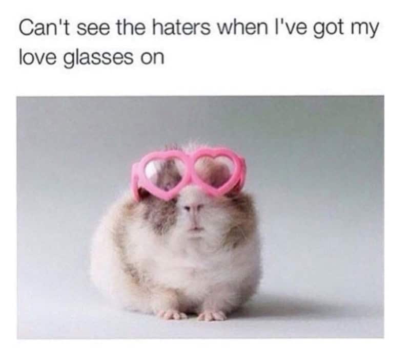 Fluffy guinea pig wearing bright pink heart-shaped sunglasses to block out workplace haters.