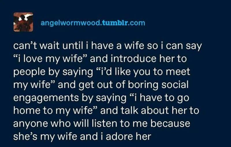 This wholesome relationship meme captures a viral Tumblr post from a user dreaming about using their future wife as an absolute shield to escape boring social gatherings.
