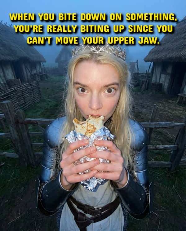 Anya Taylor-Joy wearing armor eating a burrito in a clever shower thoughts meme.