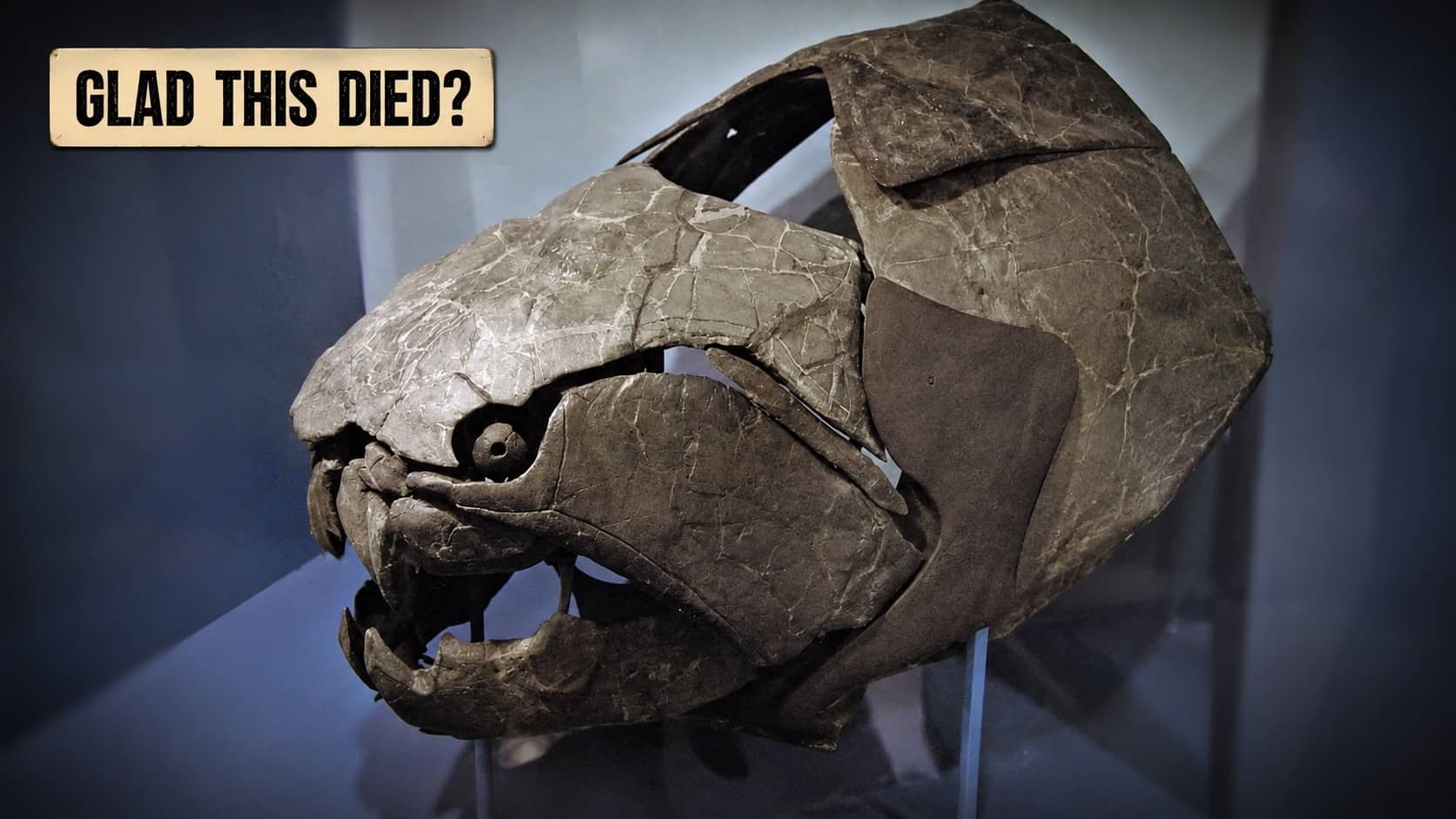 Fossilized skull of a prehistoric armored fish Dunkleosteus representing fascinating extinct animals history.