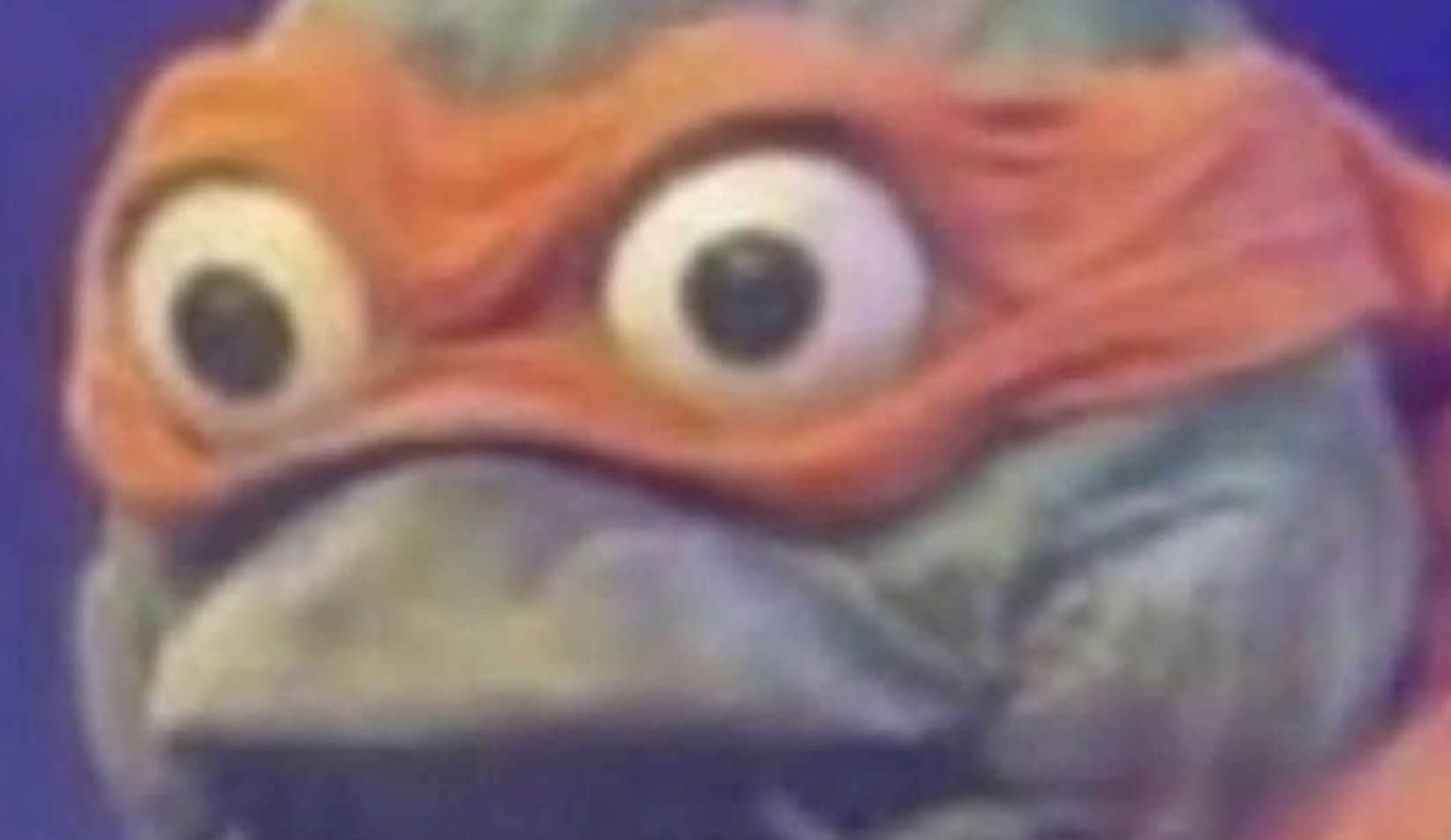 Close-up funny meme image of Michelangelo Teenage Mutant Ninja Turtle with large wide-open eyes.