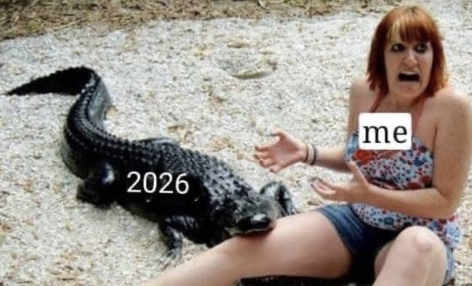 Funny memes photo showing an alligator biting a woman's leg labeled with 2026 and me text.