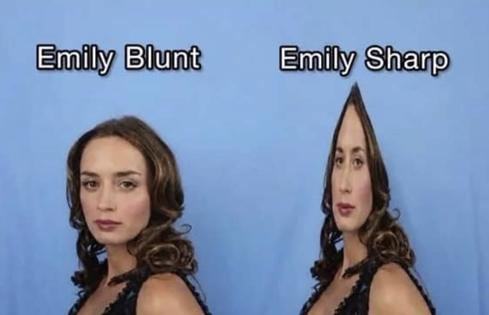 Side-by-side comparison meme showing actress Emily Blunt next to a pointedly edited Emily Sharp version.