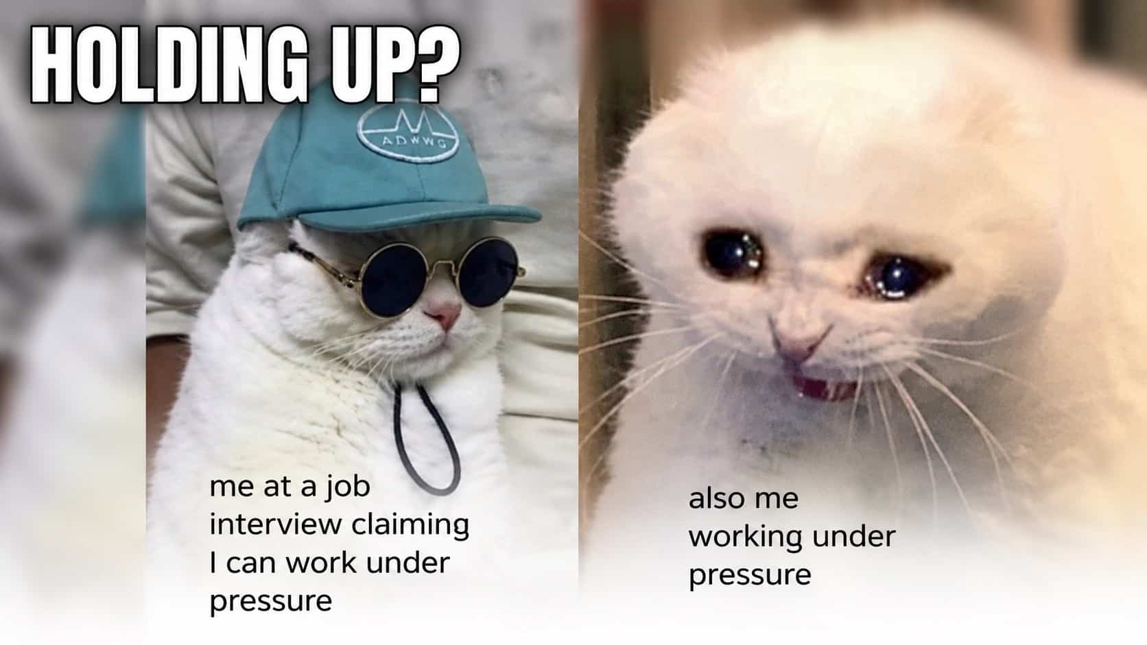 Side by side cool cat and crying cat side meme highlighting retail memes theme.