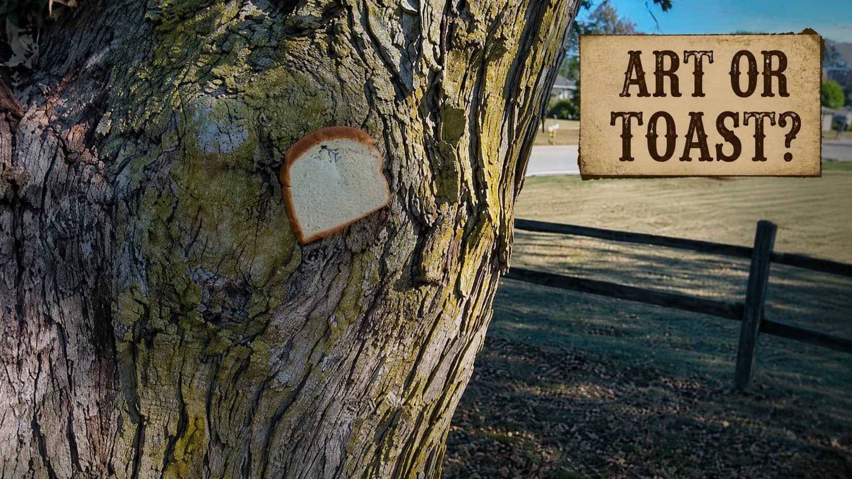 Single slice of white bread stapled directly to the rough bark of a tree trunk outdoors.