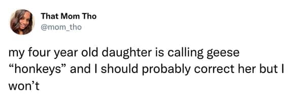 Tweet about a young daughter calling geese honkeys instead of their actual name.