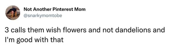 Tweet about a toddler calling dandelions wish flowers instead of dandelions.