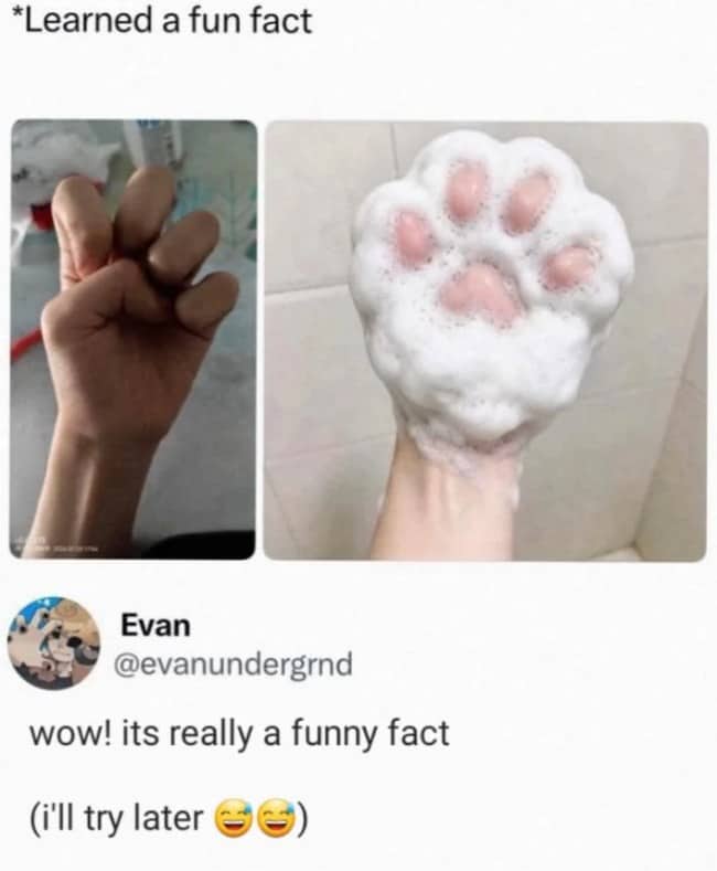 Person demonstrating how to make a cute animal paw print using hand shape and soap.