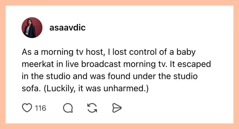 Text post by a morning television host recounting the live broadcast chaos of losing an escaped baby meerkat under the studio couch.