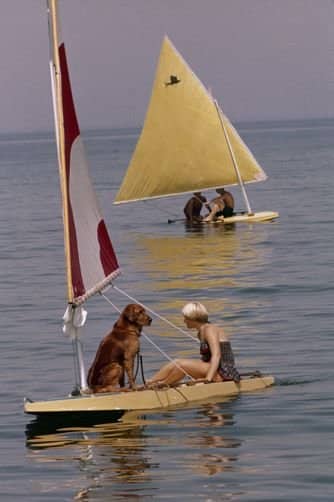 Golden retriever sitting contentedly on tiny sailboat next to owner on calm water.