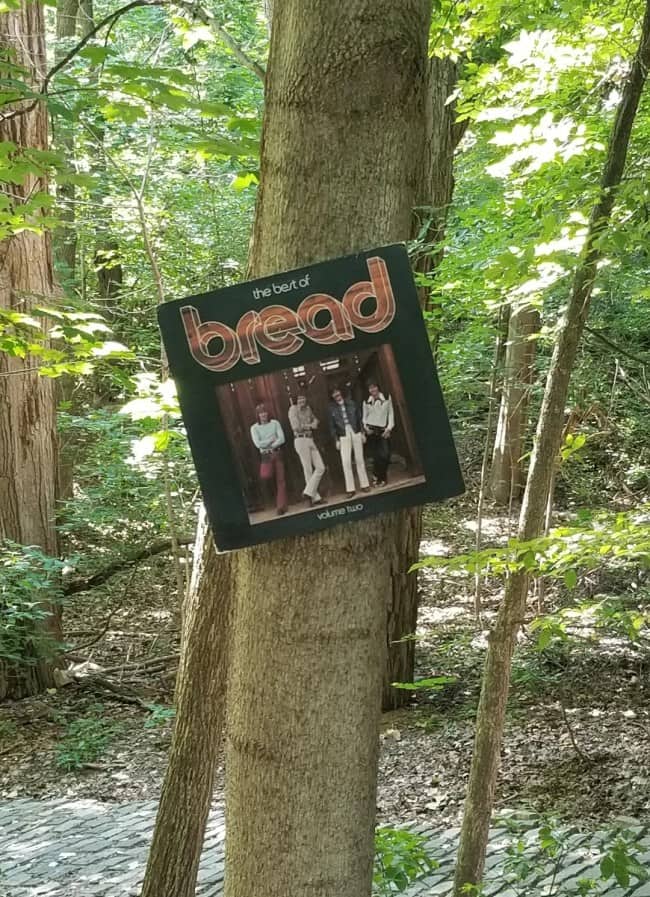 Vinyl record album cover for the band Bread stapled to a tree in a forest.