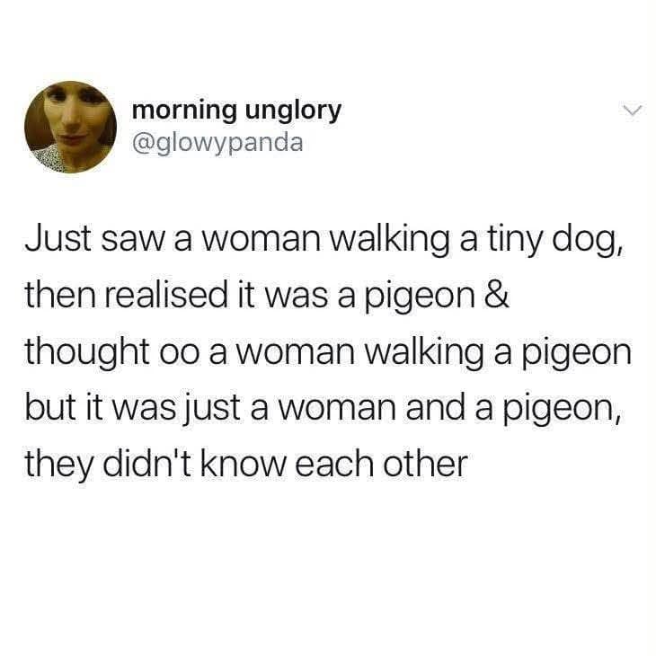 A hilarious text observation operating as a classic meme tweet by @glowypanda about mistakenly thinking a woman was walking a pigeon on a leash, only to realize they were total strangers.