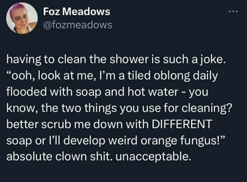 A household hygiene rant tweet in a classic meme set where Foz Meadows calls out shower stalls for developing orange fungus despite being washed daily with soap and hot water.