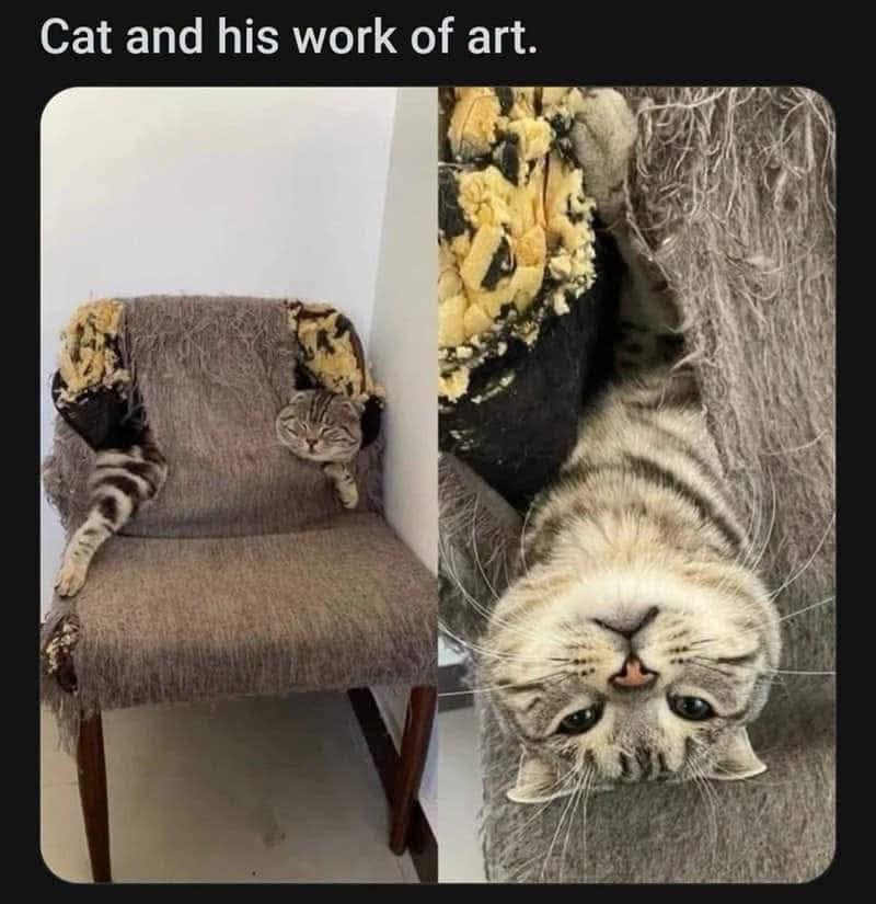 A feline destruction photo in this classic meme showing a tabby cat resting triumphantly inside a completely torn-apart upholstered chair, captioned "Cat and his work of art."