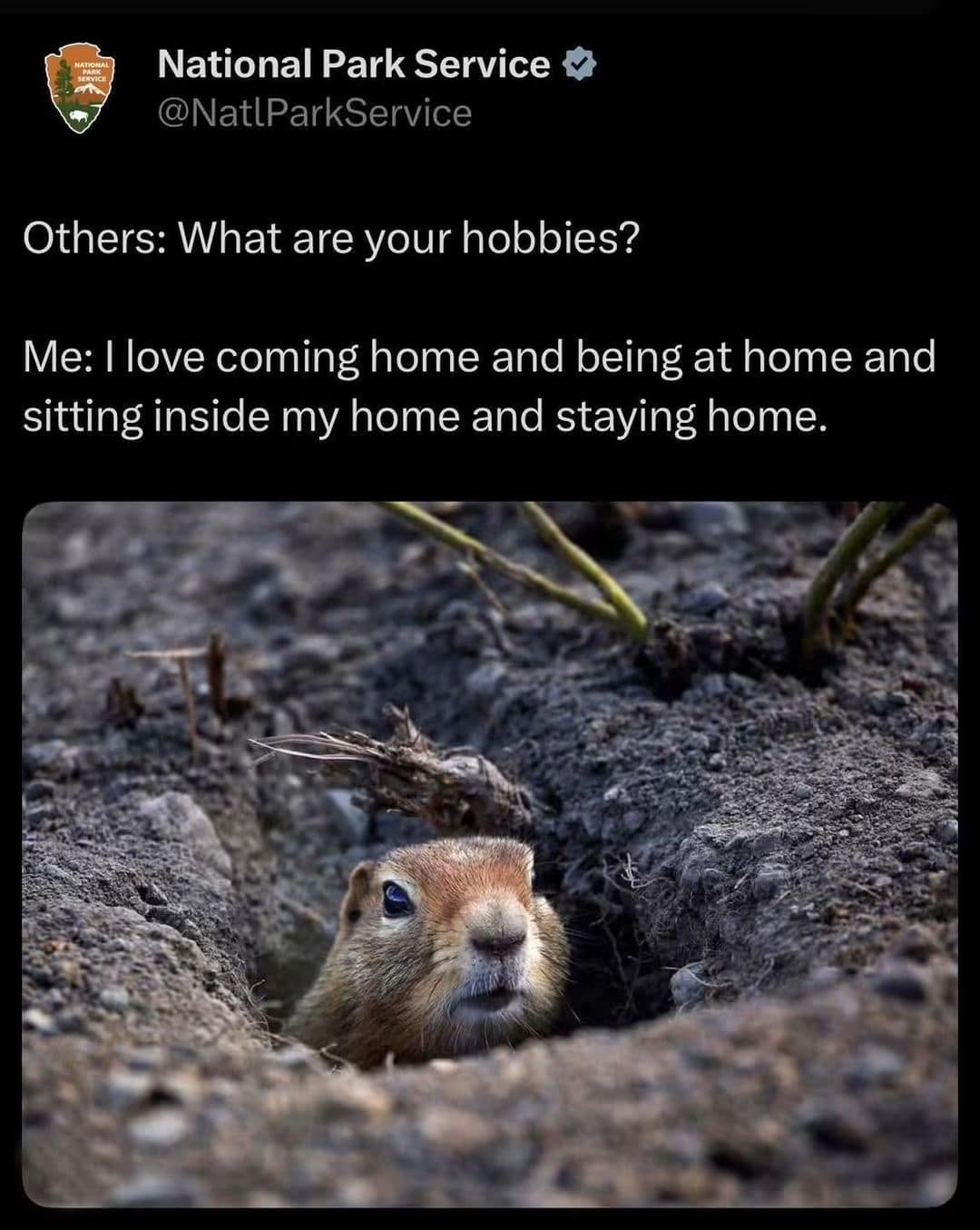 National Park Service social media post showing a ground squirrel peeking from its dirt burrow alongside text celebrating homebody introversion over outdoor activities.