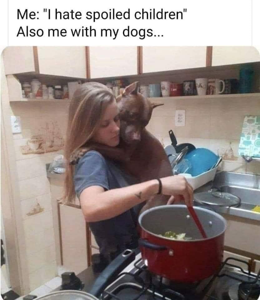 A pet owner hypocrisy photo operating as a classic meme showing a woman holding a full-grown dog like a baby while cooking at the kitchen stove.