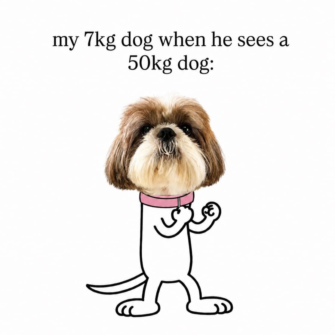 Small Shih Tzu dog's head on a cartoon body putting up its fists in a fighting stance, representing a tiny dog challenging a massive dog.