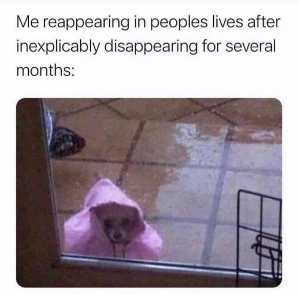 Small chihuahua wearing a pink hooded rain poncho standing outside on a wet patio, peering through a sliding glass door into a lit room.