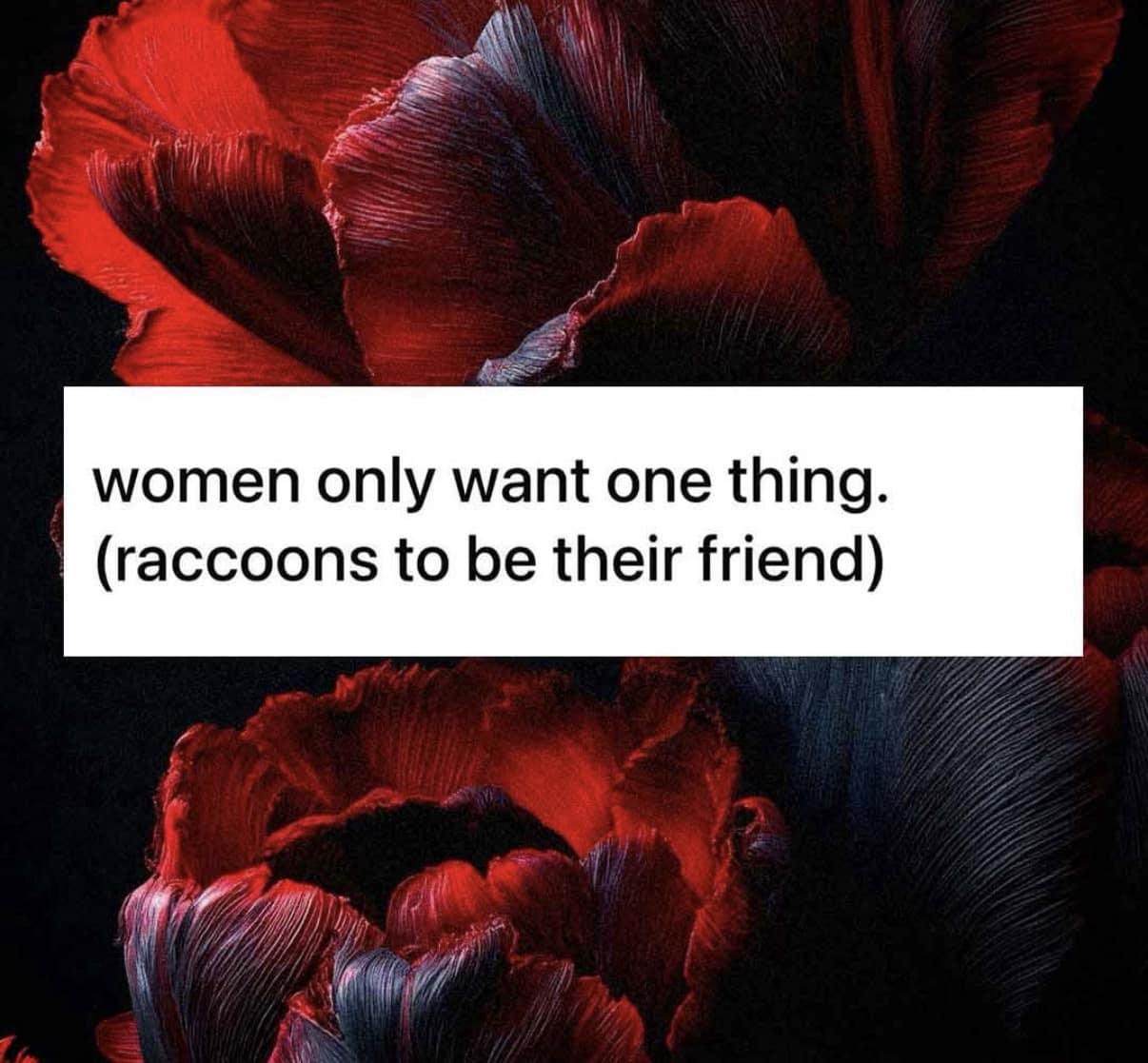 Text post overlaid on a dark floral image, declaring that women ultimately only want one thing in life: to become friends with wild raccoons.