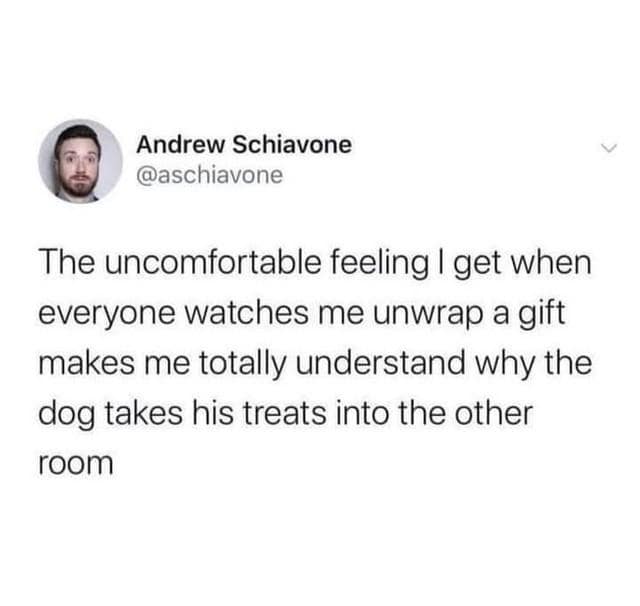 Relatable gift-unwrapping classic meme tweet by Andrew Schiavone explaining how awkward opening presents in front of an audience makes him completely understand why dogs take treats to another room.