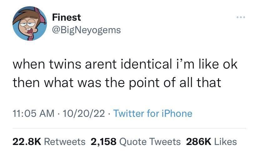A Twitter post by user @BigNeyogems questioning the whole concept of fraternal twins, observing that if twins aren't identical, there was really no point to it in this classic meme.