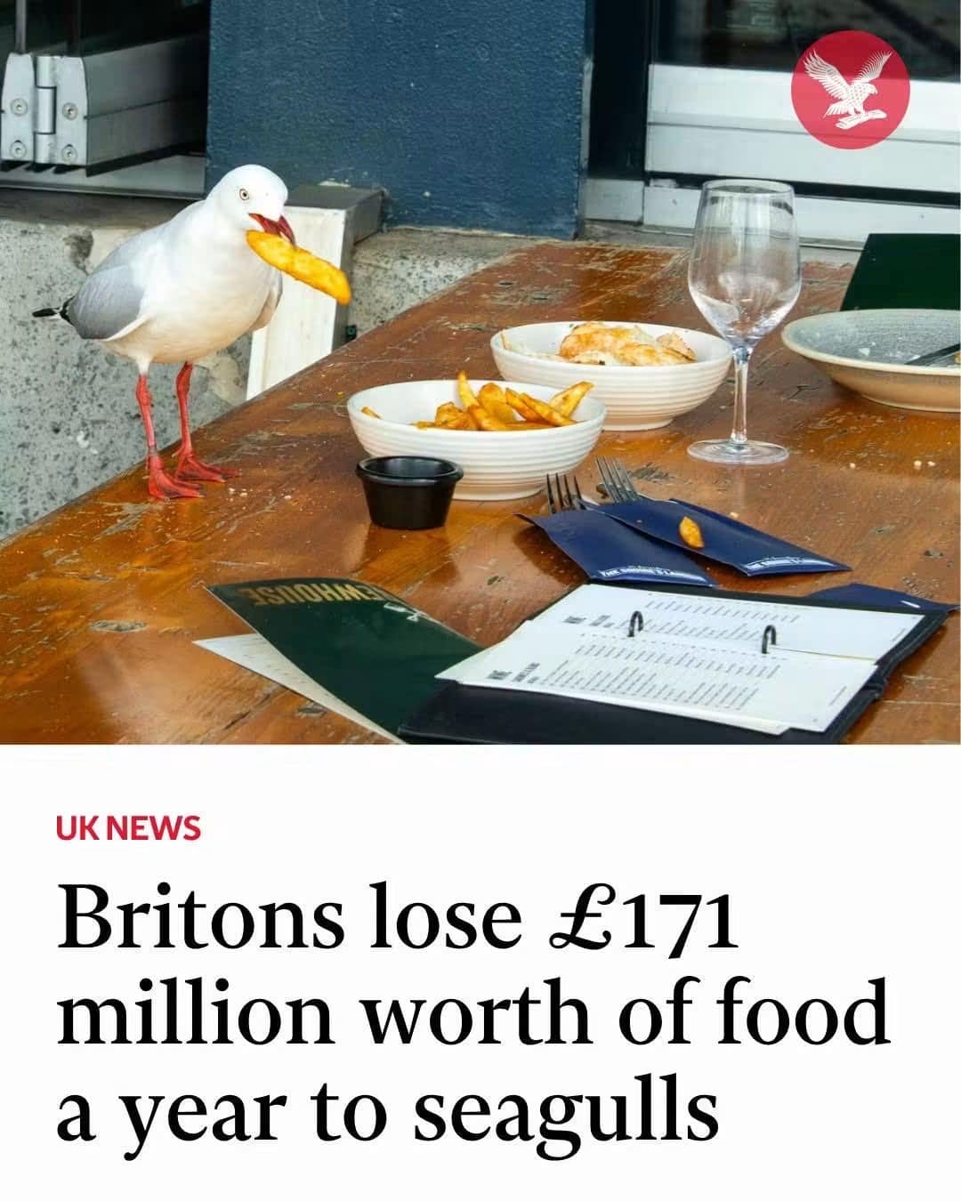 UK news headline about Britons losing 171 million pounds worth of food annually to seagulls, paired with a photo of a seagull snatching a French fry off an outdoor table as a classic meme.