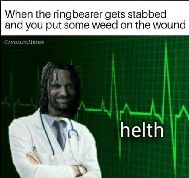 A Lord of the Rings medical satire classic meme photoshopping Aragorn's face onto the "Helth" stock doctor template under text about putting Kingsfoil on Frodo's wound.