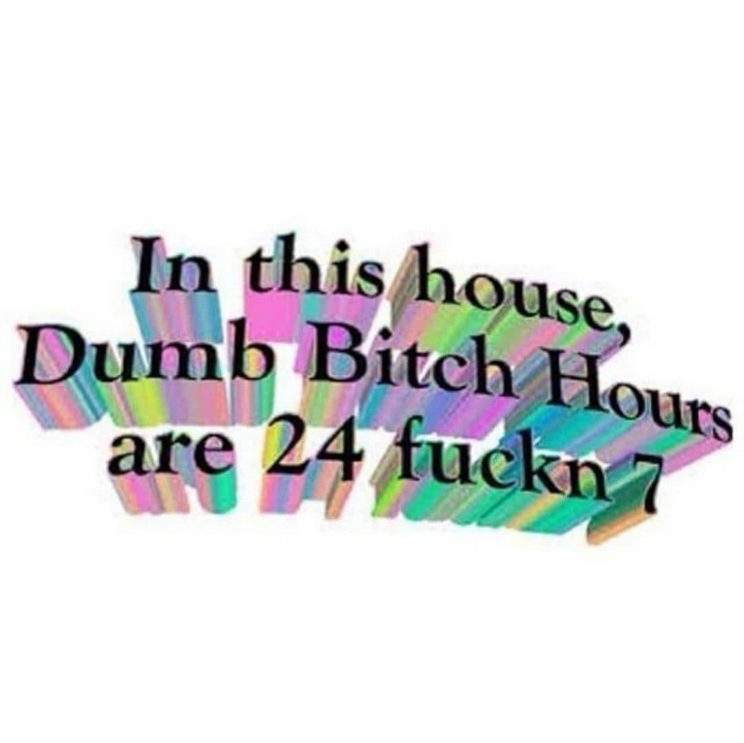A colorful retro 90s WordArt graphic featured as a classic meme displaying pastel 3D text that reads "In this house, Dumb B*tch Hours are 24 f*ckn 7."