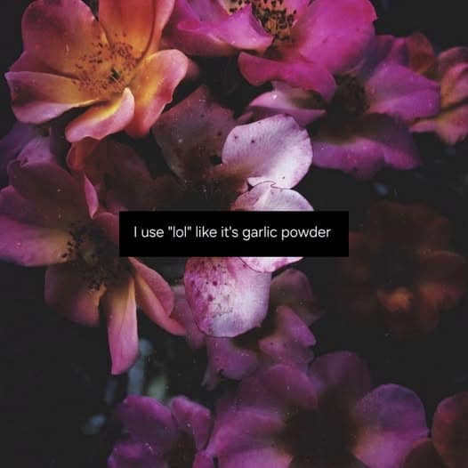 Moody aesthetic background of dark pink flowers centered with text admitting to using "lol" in text messages as generously as garlic powder in cooking.