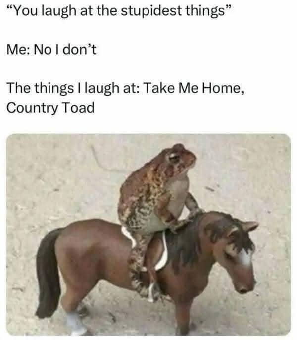 Image macro featuring a toad riding a tiny plastic toy horse, titled "Take Me Home, Country Toad" as a pun on the classic song.