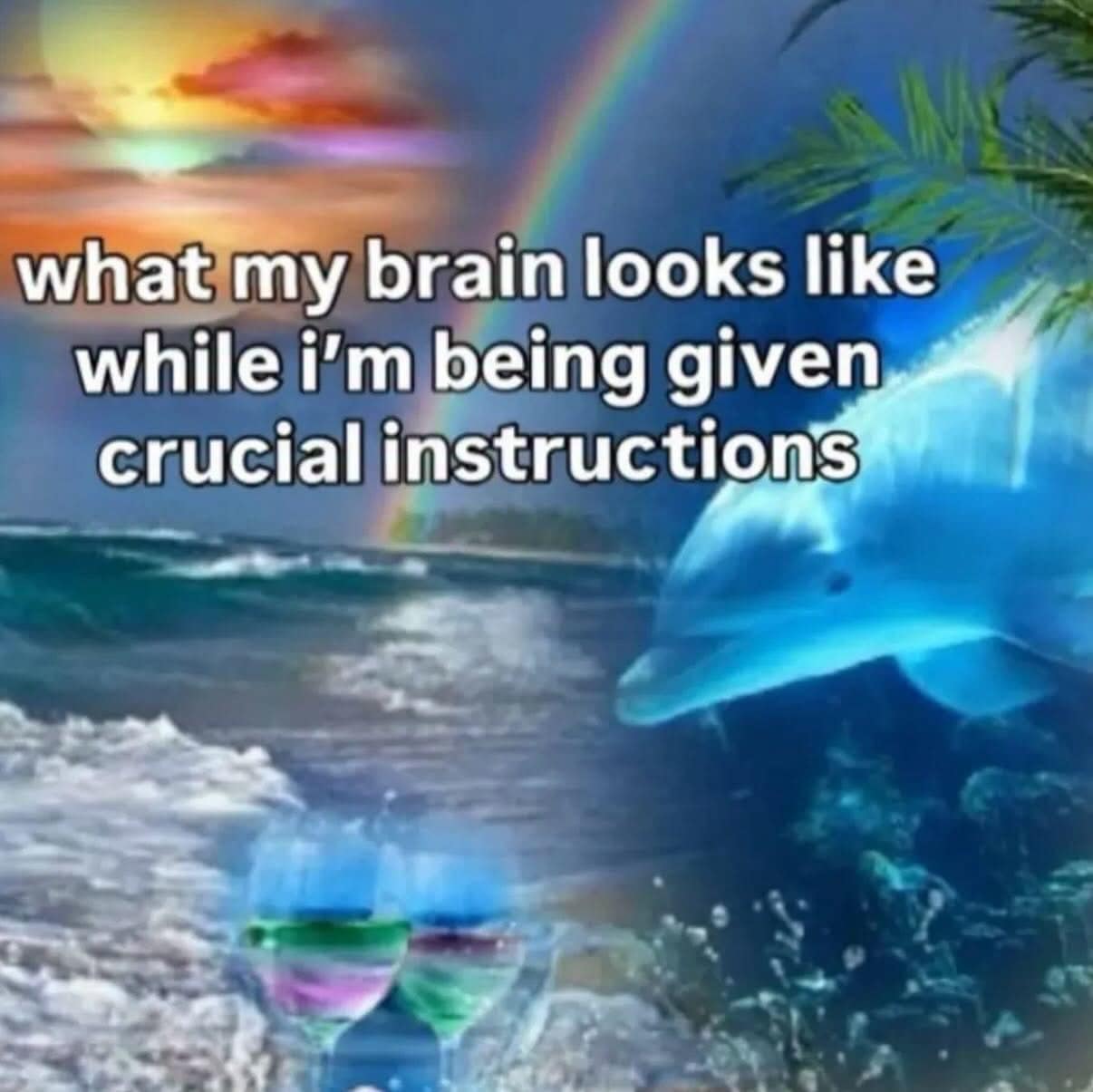 A nostalgic vaporwave aesthetic graphic functioning as a classic meme showing dolphins leaping across a rainbow ocean with text describing how the brain functions while receiving important instructions.