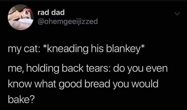 An emotional cat lover tweet acting as a classic meme where an owner cries watching their cat knead a blanket and wonders what amazing bread it could bake.