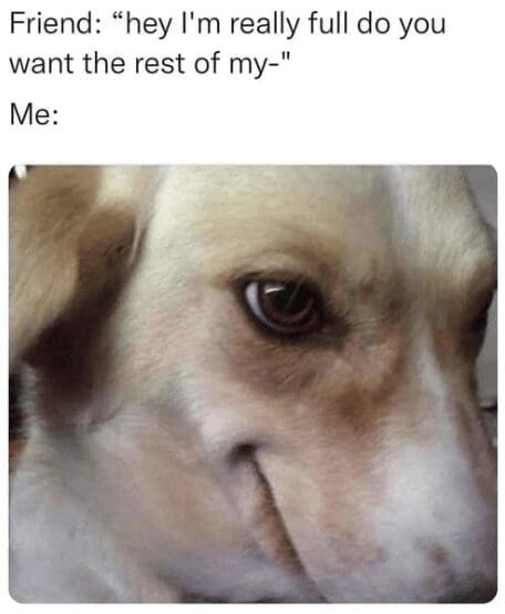 A relatable dining classic meme featuring a close-up photo of a dog giving a sly side-eye smirk when a friend offers their unfinished food.